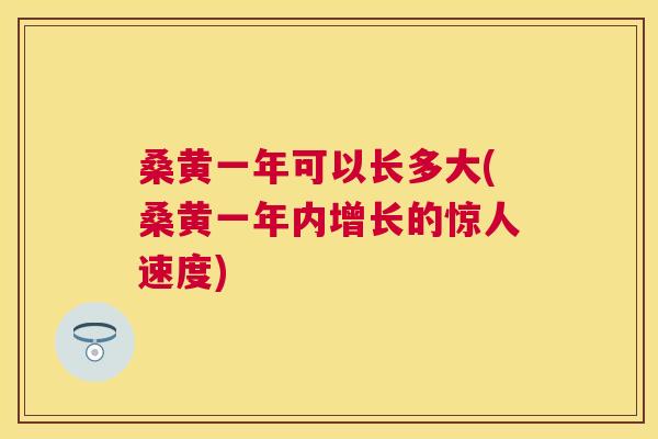 桑黄一年可以长多大(桑黄一年内增长的惊人速度) 桑黄一年可以长多大(桑黄一年内增长的惊人速度)
