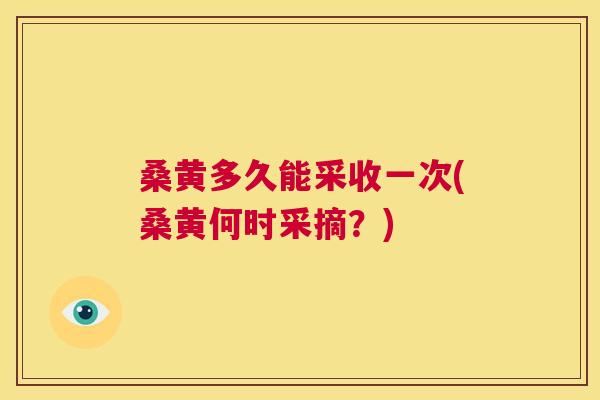 桑黄多久能采收一次(桑黄何时采摘?) 桑黄多久能采收一次(桑黄何时采摘?)