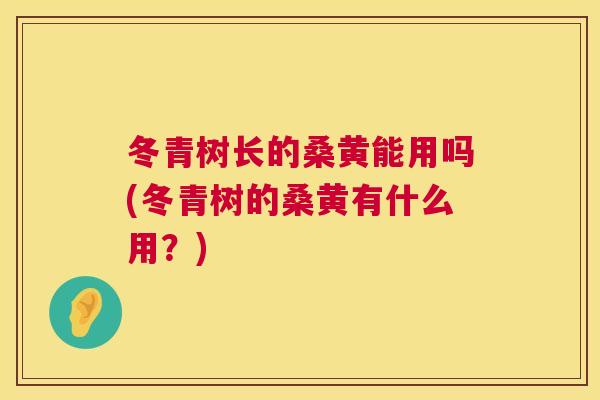冬青树长的桑黄能用吗(冬青树的桑黄有什么用?) 冬青树长的桑黄能用吗(冬青树的桑黄有什么用?)