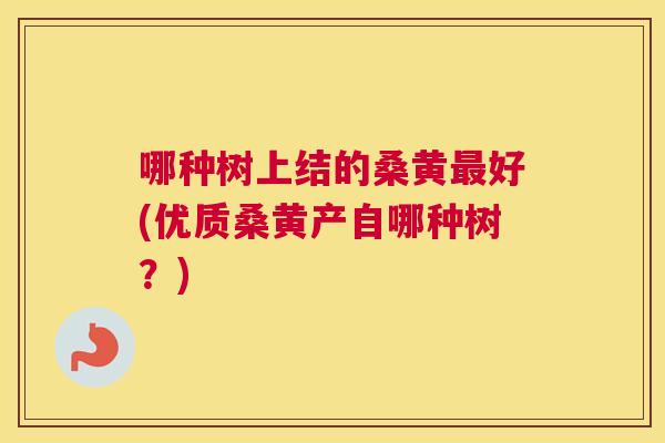 哪种树上结的桑黄好(优质桑黄产自哪种树?) 哪种树上结的桑黄好(优质桑黄产自哪种树?)
