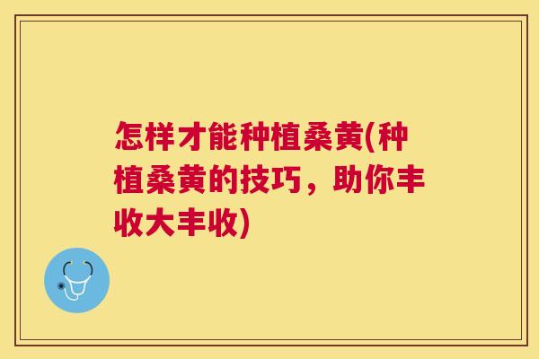 怎样才能种植桑黄(种植桑黄的技巧，助你丰收大丰收)