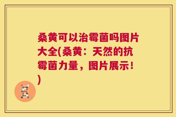 桑黄可以霉菌吗图片大全(桑黄:天然的抗霉菌力量,图片展示!) 桑黄可以霉菌吗图片大全(桑黄:天然的抗霉菌力量,图片展示!)