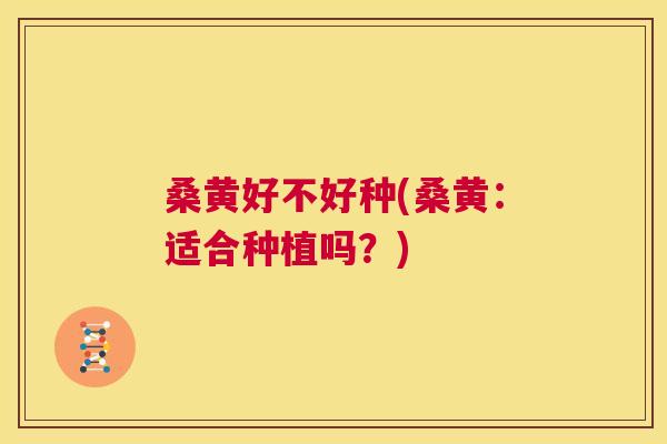 桑黄好不好种(桑黄:适合种植吗?) 桑黄好不好种(桑黄:适合种植吗?)