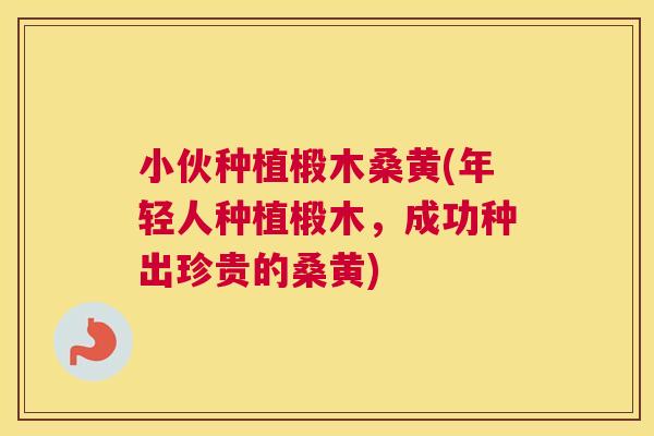 小伙种植椴木桑黄(年轻人种植椴木,成功种出珍贵的桑黄) 小伙种植椴木桑黄(年轻人种植椴木,成功种出珍贵的桑黄)