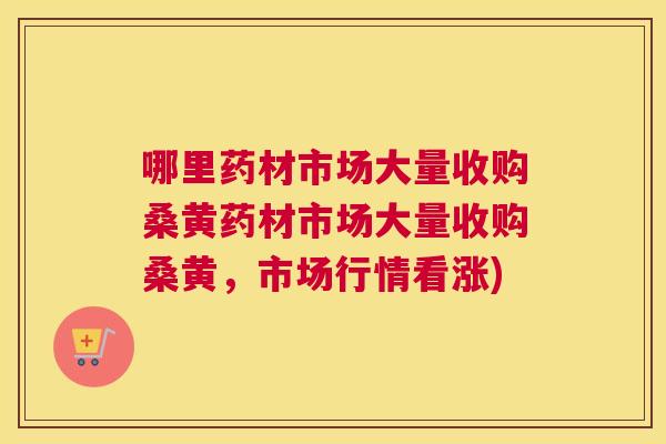 哪里药材市场大量收购桑黄药材市场大量收购桑黄,市场行情看涨) 哪里药材市场大量收购桑黄药材市场大量收购桑黄,市场行情看涨)