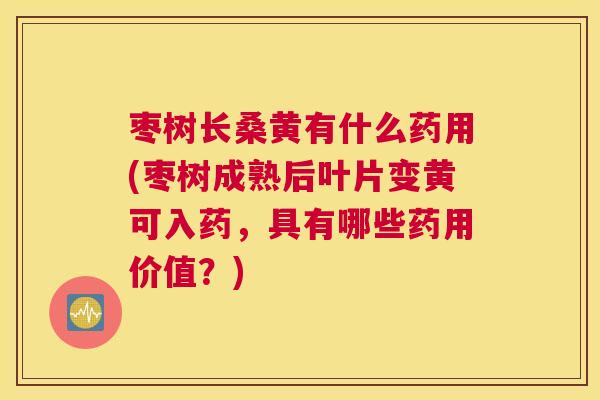 枣树长桑黄有什么药用(枣树成熟后叶片变黄可入药,具有哪些药用价值?) 枣树长桑黄有什么药用(枣树成熟后叶片变黄可入药,具有哪些药用价值?)