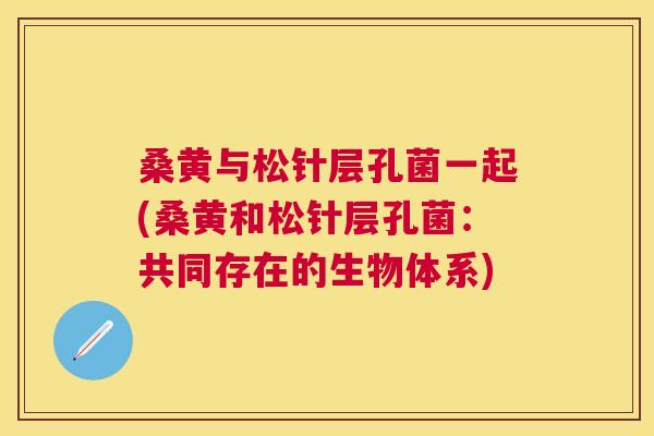 桑黄与松针层孔菌一起(桑黄和松针层孔菌:共同存在的生物体系) 桑黄与松针层孔菌一起(桑黄和松针层孔菌:共同存在的生物体系)