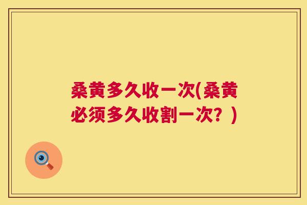 桑黄多久收一次(桑黄必须多久收割一次?) 桑黄多久收一次(桑黄必须多久收割一次?)