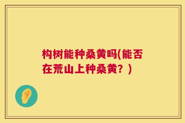 构树能种桑黄吗(能否在荒山上种桑黄？)