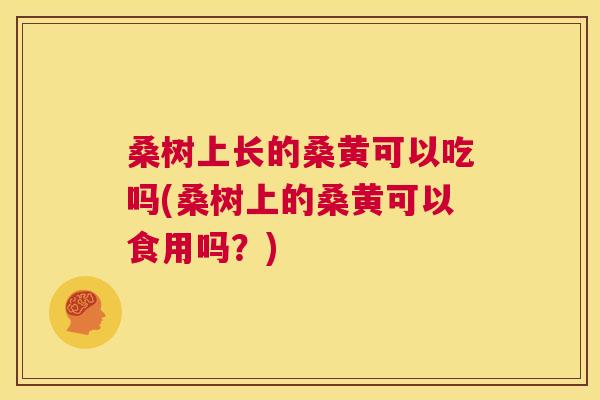 桑树上长的桑黄可以吃吗(桑树上的桑黄可以食用吗?) 桑树上长的桑黄可以吃吗(桑树上的桑黄可以食用吗?)