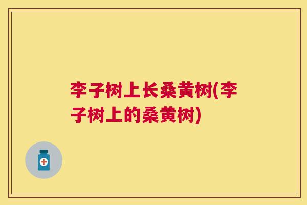 李子树上长桑黄树(李子树上的桑黄树) 李子树上长桑黄树(李子树上的桑黄树)