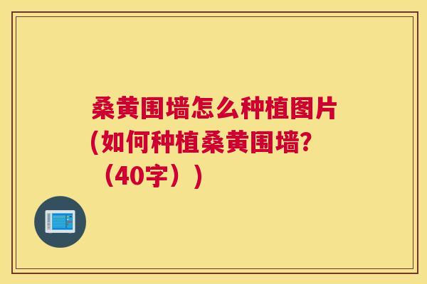 桑黄围墙怎么种植图片(如何种植桑黄围墙?(40字)) 桑黄围墙怎么种植图片(如何种植桑黄围墙?(40字))