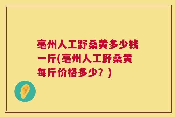 亳州人工野桑黄多少钱一斤(亳州人工野桑黄每斤价格多少？)