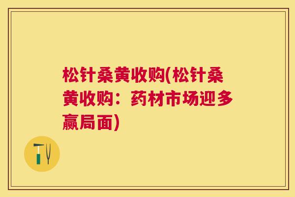 松针桑黄收购(松针桑黄收购:药材市场迎多赢局面) 松针桑黄收购(松针桑黄收购:药材市场迎多赢局面)