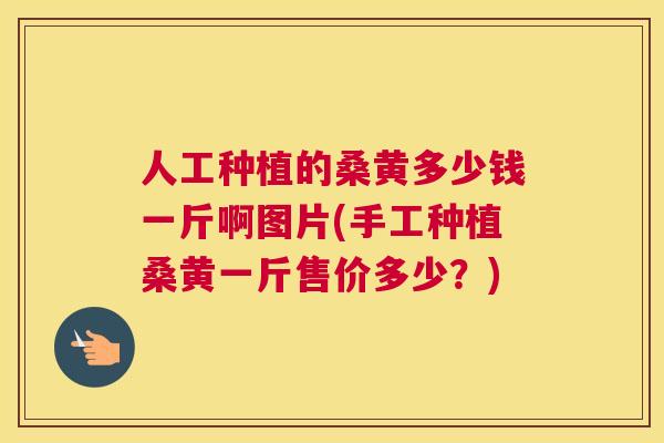 人工种植的桑黄多少钱一斤啊图片(手工种植桑黄一斤售价多少?) 人工种植的桑黄多少钱一斤啊图片(手工种植桑黄一斤售价多少?)