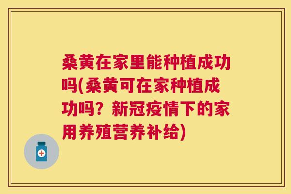 桑黄在家里能种植成功吗(桑黄可在家种植成功吗?新冠疫情下的家用养殖营养补给) 桑黄在家里能种植成功吗(桑黄可在家种植成功吗?新冠疫情下的家用养殖营养补给)