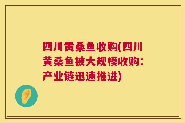 四川黄桑鱼收购(四川黄桑鱼被大规模收购:产业链迅速推进) 四川黄桑鱼收购(四川黄桑鱼被大规模收购:产业链迅速推进)