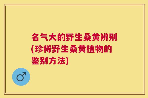 名气大的野生桑黄辨别(珍稀野生桑黄植物的鉴别方法) 名气大的野生桑黄辨别(珍稀野生桑黄植物的鉴别方法)