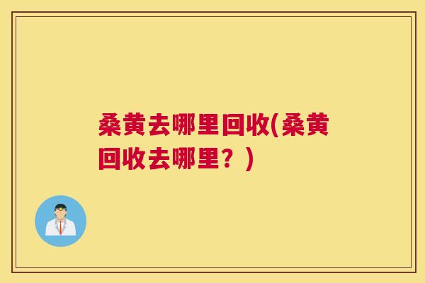 桑黄去哪里回收(桑黄回收去哪里?) 桑黄去哪里回收(桑黄回收去哪里?)