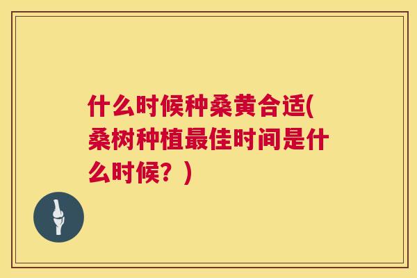 什么时候种桑黄合适(桑树种植佳时间是什么时候?) 什么时候种桑黄合适(桑树种植佳时间是什么时候?)