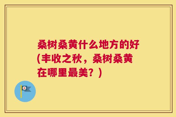 桑树桑黄什么地方的好(丰收之秋,桑树桑黄在哪里美?) 桑树桑黄什么地方的好(丰收之秋,桑树桑黄在哪里美?)