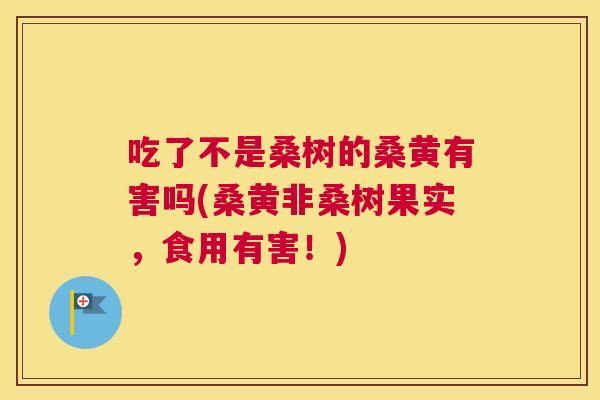 吃了不是桑树的桑黄有害吗(桑黄非桑树果实,食用有害!) 吃了不是桑树的桑黄有害吗(桑黄非桑树果实,食用有害!)