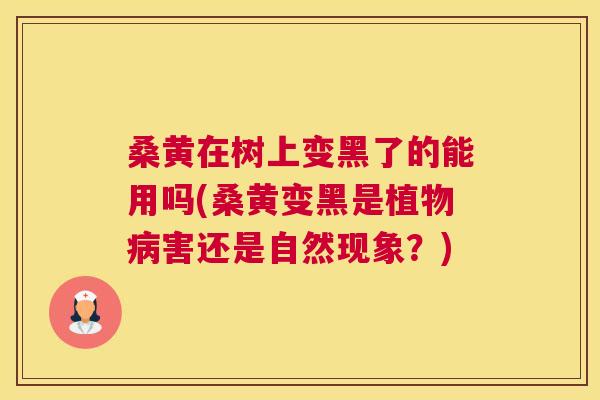 桑黄在树上变黑了的能用吗(桑黄变黑是植物害还是自然现象?) 桑黄在树上变黑了的能用吗(桑黄变黑是植物害还是自然现象?)