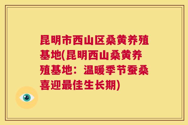 昆明市西山区桑黄养殖基地(昆明西山桑黄养殖基地:温暖季节蚕桑喜迎佳生长期) 昆明市西山区桑黄养殖基地(昆明西山桑黄养殖基地:温暖季节蚕桑喜迎佳生长期)