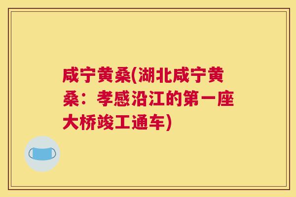 咸宁黄桑(湖北咸宁黄桑:孝感沿江的第一座大桥竣工通车) 咸宁黄桑(湖北咸宁黄桑:孝感沿江的第一座大桥竣工通车)