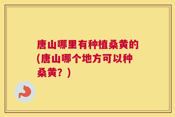 唐山哪里有种植桑黄的(唐山哪个地方可以种桑黄?) 唐山哪里有种植桑黄的(唐山哪个地方可以种桑黄?)