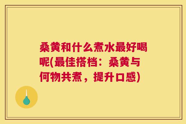 桑黄和什么煮水好喝呢(佳搭档:桑黄与何物共煮,提升口感) 桑黄和什么煮水好喝呢(佳搭档:桑黄与何物共煮,提升口感)