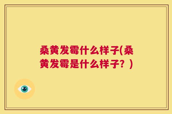 桑黄发霉什么样子(桑黄发霉是什么样子?) 桑黄发霉什么样子(桑黄发霉是什么样子?)