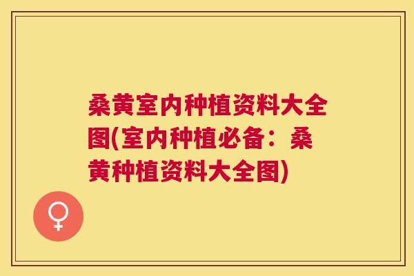 桑黄室内种植资料大全图(室内种植必备:桑黄种植资料大全图) 桑黄室内种植资料大全图(室内种植必备:桑黄种植资料大全图)