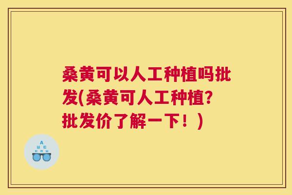 桑黄可以人工种植吗批发(桑黄可人工种植?批发价了解一下!) 桑黄可以人工种植吗批发(桑黄可人工种植?批发价了解一下!)