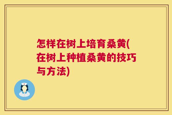怎样在树上培育桑黄(在树上种植桑黄的技巧与方法) 怎样在树上培育桑黄(在树上种植桑黄的技巧与方法)