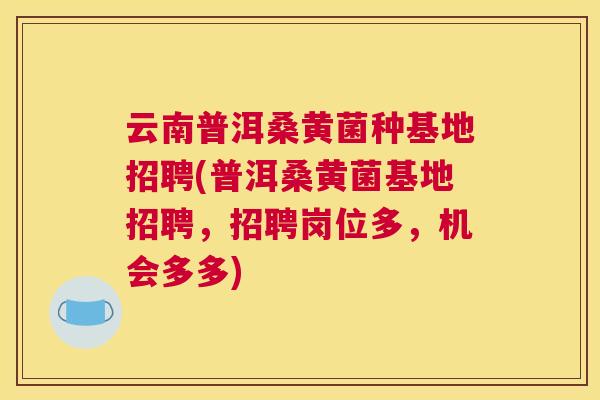 云南普洱桑黄菌种基地招聘(普洱桑黄菌基地招聘,招聘岗位多,机会多多) 云南普洱桑黄菌种基地招聘(普洱桑黄菌基地招聘,招聘岗位多,机会多多)
