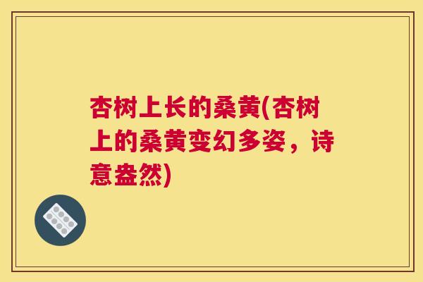 杏树上长的桑黄(杏树上的桑黄变幻多姿,诗意盎然) 杏树上长的桑黄(杏树上的桑黄变幻多姿,诗意盎然)
