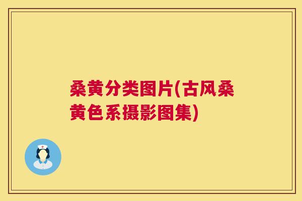 桑黄分类图片(古风桑黄色系摄影图集) 桑黄分类图片(古风桑黄色系摄影图集)