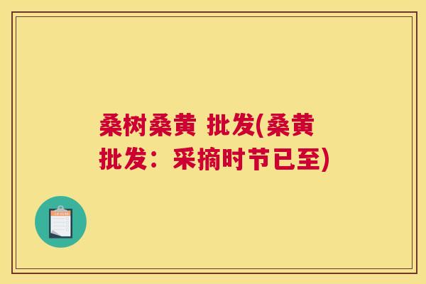 桑树桑黄 批发(桑黄批发:采摘时节已至) 桑树桑黄 批发(桑黄批发:采摘时节已至)