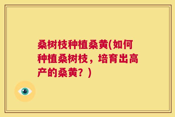 桑树枝种植桑黄(如何种植桑树枝,培育出高产的桑黄?) 桑树枝种植桑黄(如何种植桑树枝,培育出高产的桑黄?)