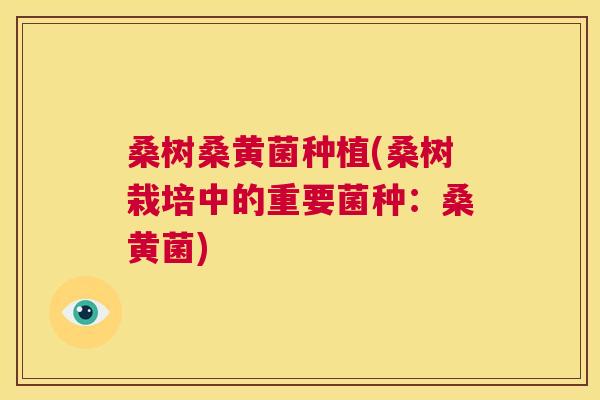 桑树桑黄菌种植(桑树栽培中的重要菌种:桑黄菌) 桑树桑黄菌种植(桑树栽培中的重要菌种:桑黄菌)