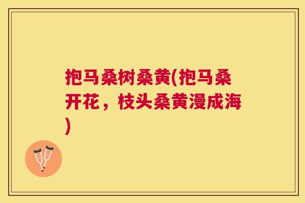 抱马桑树桑黄(抱马桑开花,枝头桑黄漫成海) 抱马桑树桑黄(抱马桑开花,枝头桑黄漫成海)