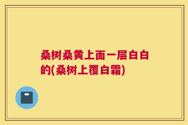 桑树桑黄上面一层白白的(桑树上覆白霜) 桑树桑黄上面一层白白的(桑树上覆白霜)