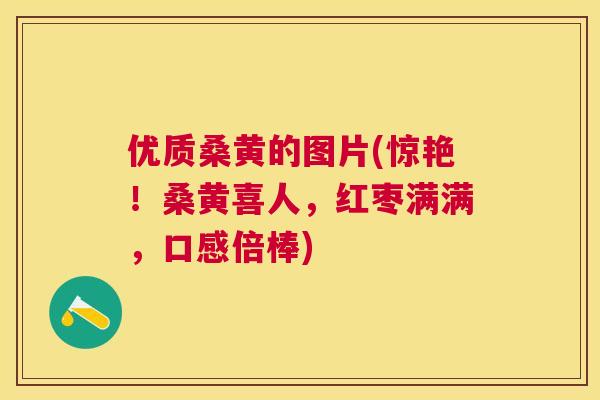 优质桑黄的图片(惊艳！桑黄喜人，红枣满满，口感倍棒)