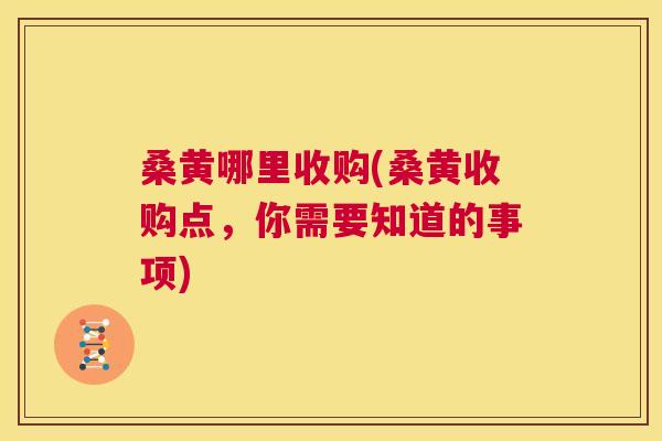 桑黄哪里收购(桑黄收购点,你需要知道的事项) 桑黄哪里收购(桑黄收购点,你需要知道的事项)