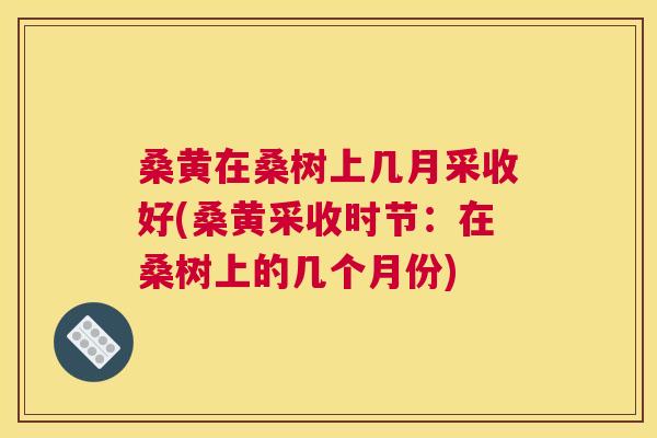 桑黄在桑树上几月采收好(桑黄采收时节:在桑树上的几个月份) 桑黄在桑树上几月采收好(桑黄采收时节:在桑树上的几个月份)