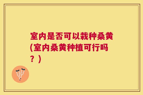 室内是否可以栽种桑黄(室内桑黄种植可行吗?) 室内是否可以栽种桑黄(室内桑黄种植可行吗?)