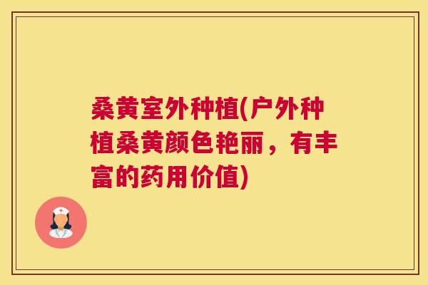 桑黄室外种植(户外种植桑黄颜色艳丽,有丰富的药用价值) 桑黄室外种植(户外种植桑黄颜色艳丽,有丰富的药用价值)