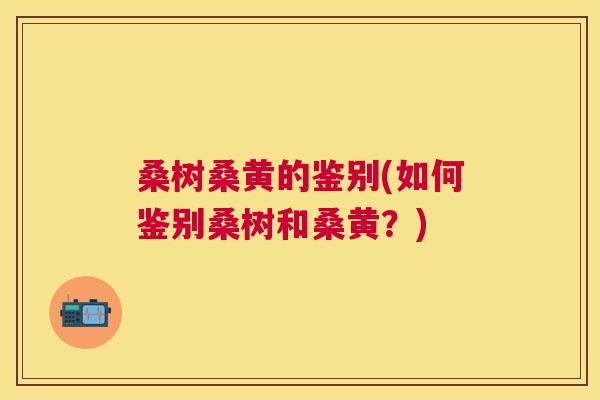 桑树桑黄的鉴别(如何鉴别桑树和桑黄?) 桑树桑黄的鉴别(如何鉴别桑树和桑黄?)