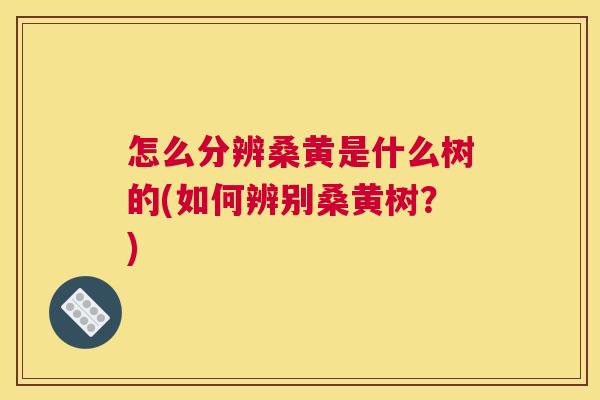 怎么分辨桑黄是什么树的(如何辨别桑黄树?) 怎么分辨桑黄是什么树的(如何辨别桑黄树?)
